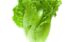 Lechuga Bolsa 2 Unidades