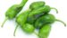 Pimiento Padrón (precio por kg)